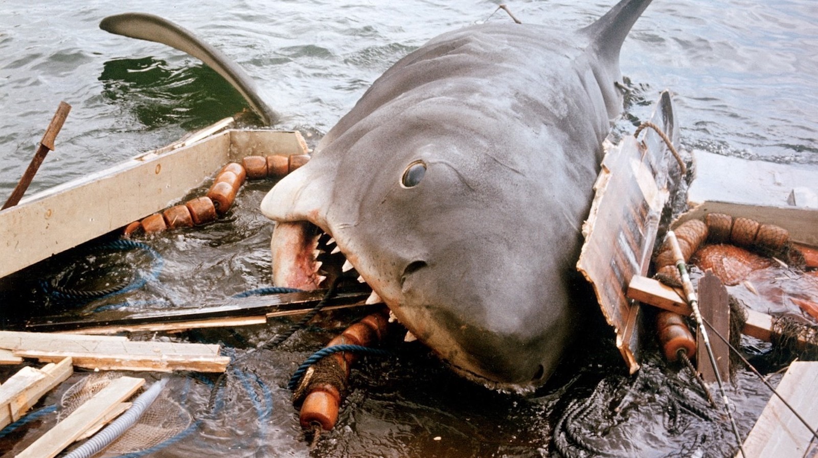#Steven Spielberg Worried Jaws Would Sink His Young Career