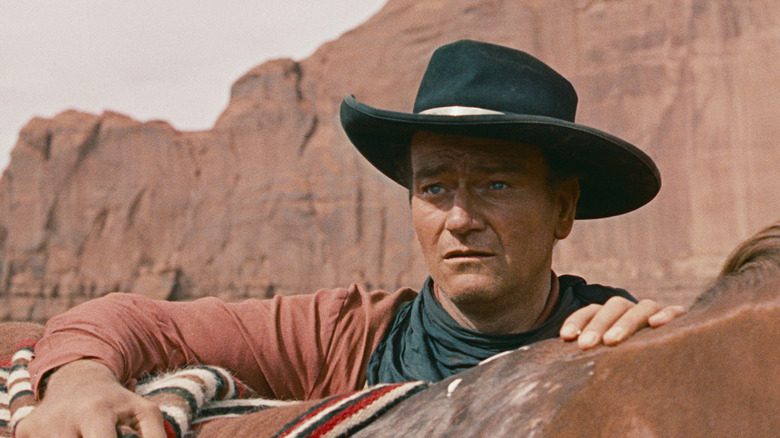 Ethan Edwards (John Wayne) with a Black Cowboy hat looks strong and forgotten while holding the horse on the Canyon cliffs in applicants