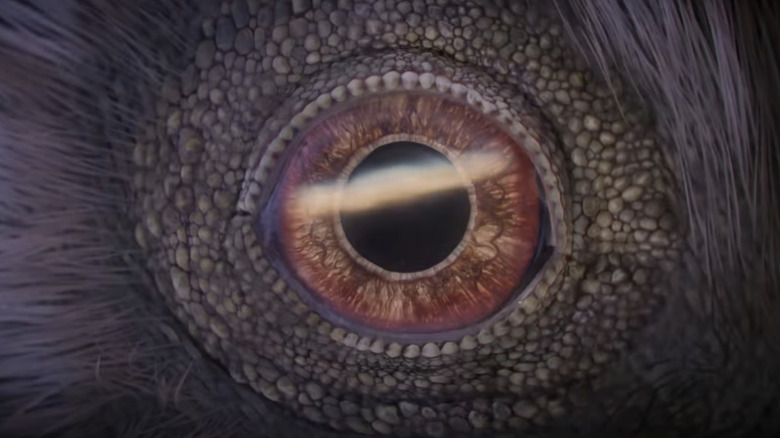 डायनासोरमध्ये डायनासोरचा डोळा अत्यंत क्लोजअपमध्ये दिसत आहे