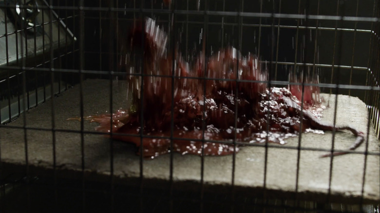 Stranger Things, imploding rat