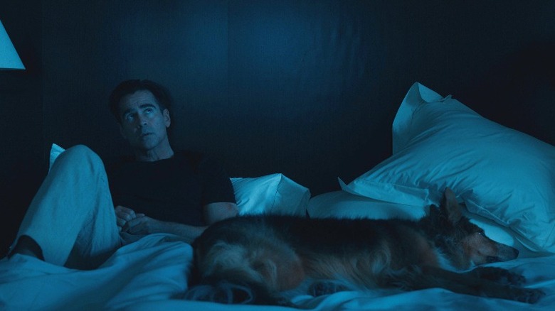 Colin Farrell and dog in Sugar