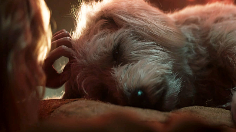 A sickly Krypto is comforted by Kara Zor-El in Supergirl