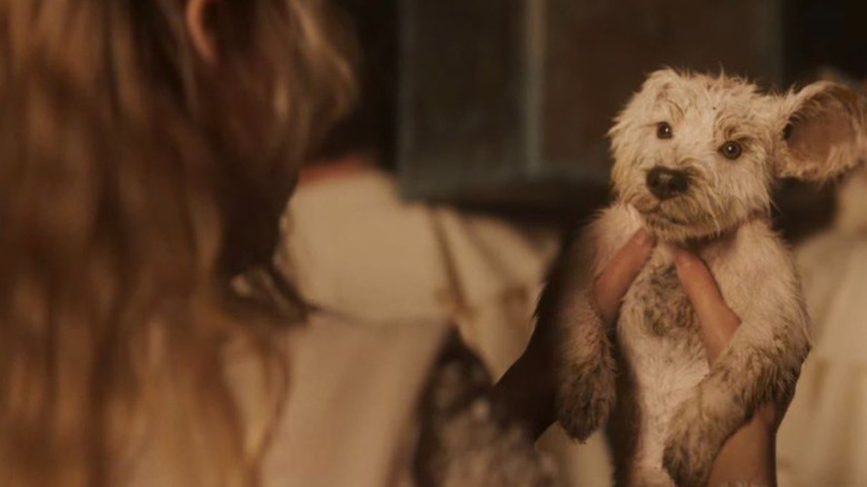 Milly Alcock as Kara Zor-El/Supergirl holding up Krypto the Superdog as a puppy in Supergirl (2026)