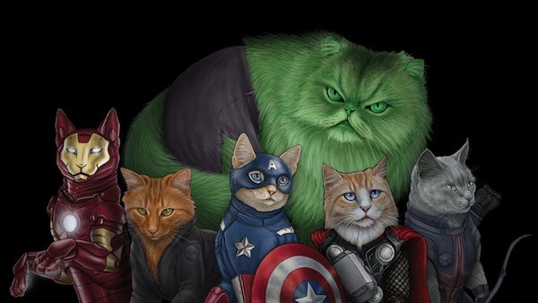 Avengers Cats
