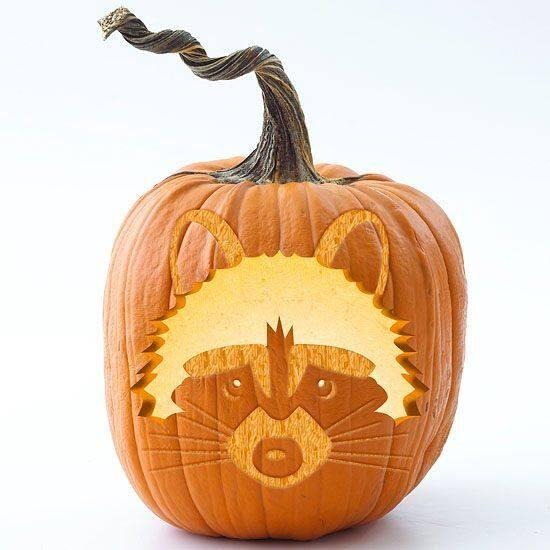 Rocket Raccoon Pumpkin