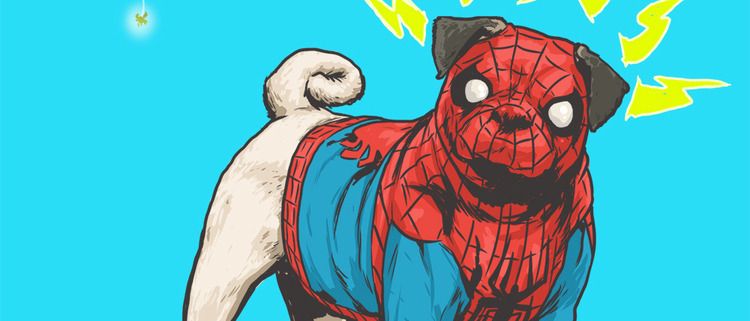 Spider-Man dog