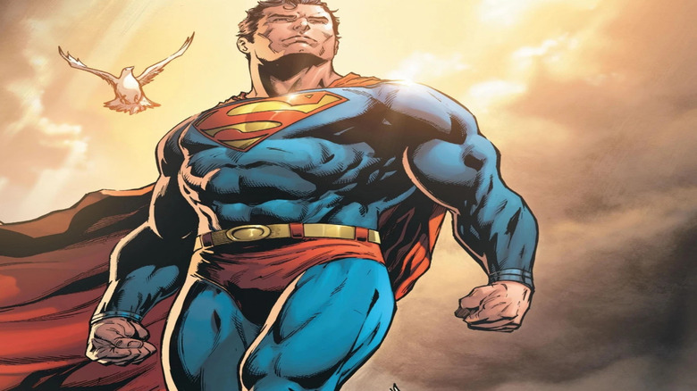 Superman flies next to a bird in the sunlight