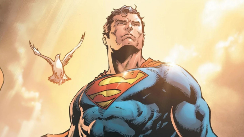 Superman flies next to a bird in the sunlight
