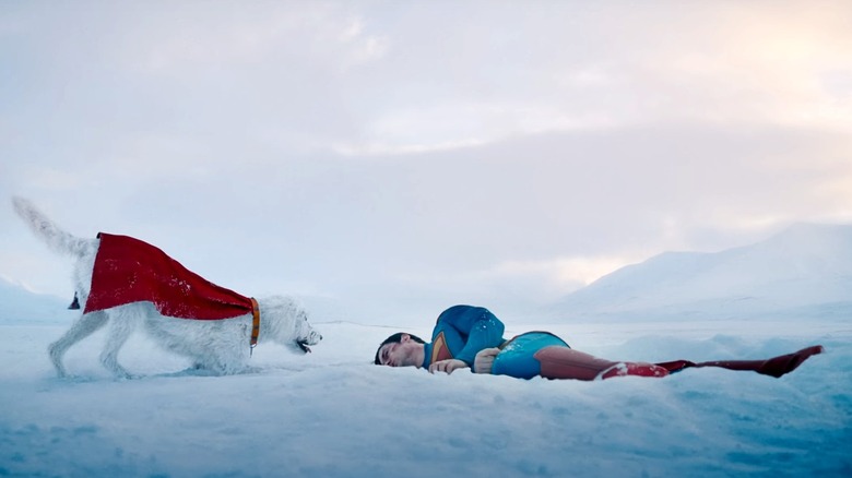Krypto and Superman in the snow in Superman