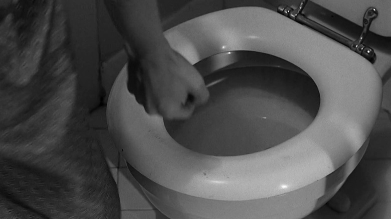 First Toilet Flush Onscreen