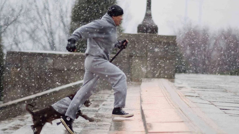 Sylvester Rocky Balboa de Sylvester corre o Museu de Arte da Filadélfia escadas com seu cachorro em Rocky Balboa
