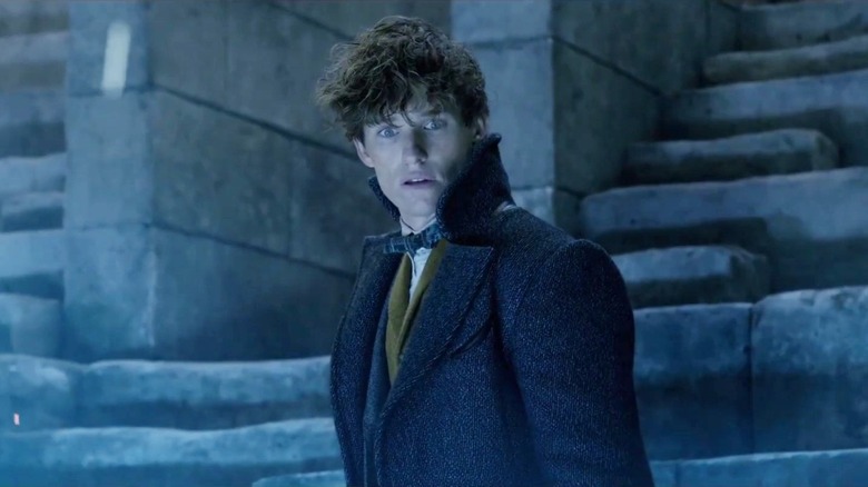 Fantastic Beasts 2 Newt Scamander