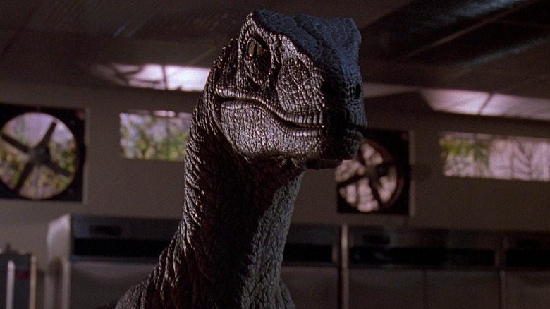 Jurassic park raptor