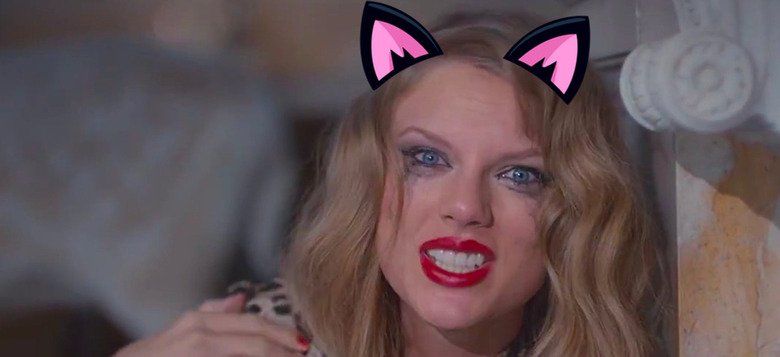 taylor swift cats