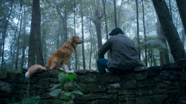 Indy and his owner sit outside in Good Boy