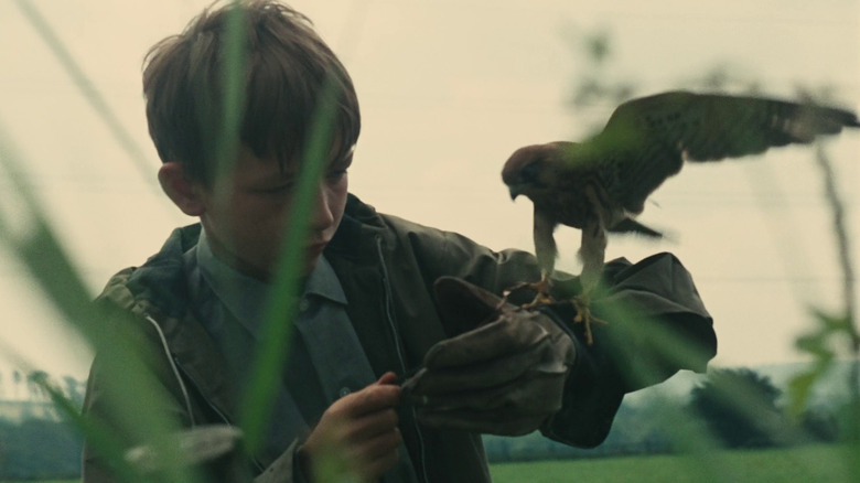 Dai Bradley's Billy Casper training his kestrel in Kes
