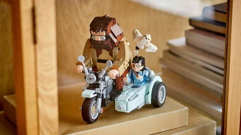 The Hagrid and Harry's Motorcycle Ride sits on a book shelf