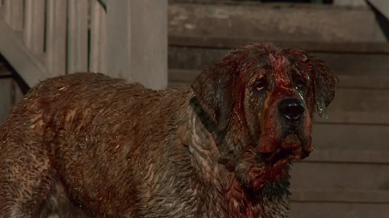 Cujo covered in blood in Cujo