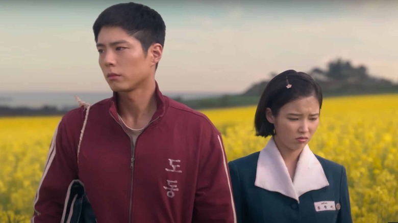 Gwan-sik (Park Bo-gum) walks in a blooming field with Ae-soon (IU) in When Life Gives You Tangerines