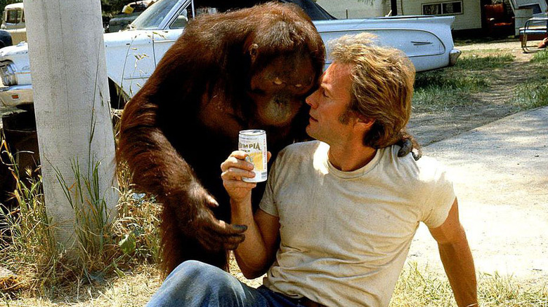 Philo Beddoe (Clint Eastwood) holds a beer while being comforted by Clyde in Every Which Way But Loose