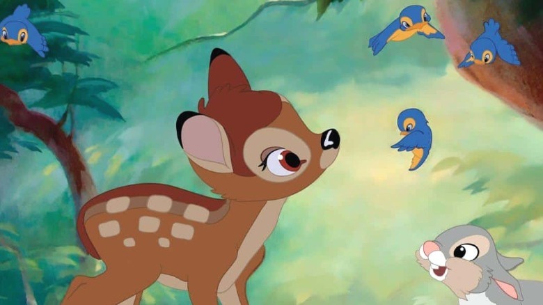 Bambi meets some bluebirds.