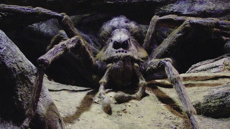 Harry Potter and the Chamber of Secrets' Aragog
