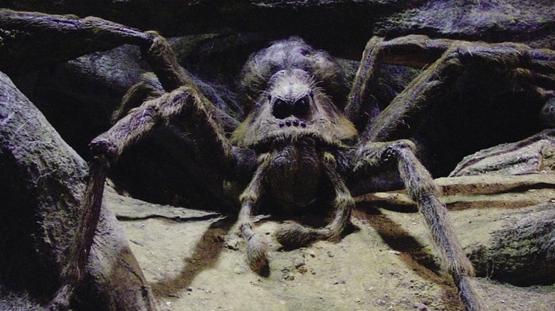 Harry Potter and the Chamber of Secrets' Aragog