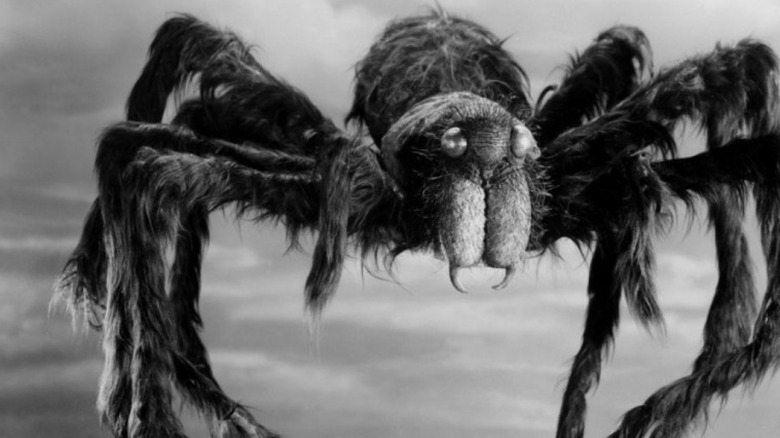 Tarantula's Giant spider puppet