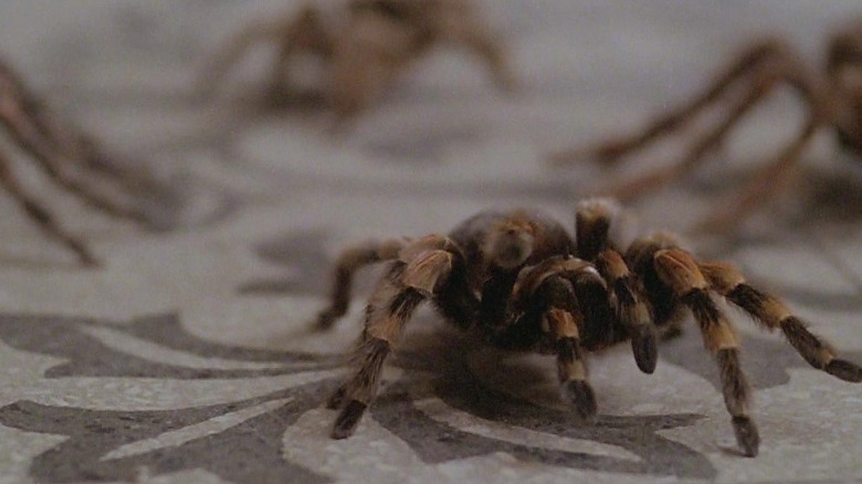 The Beyond's spiders crawl on the floor