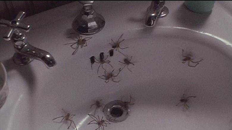 Arachnophobia's sink full of spiders