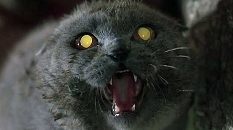 church the cat pet sematary 