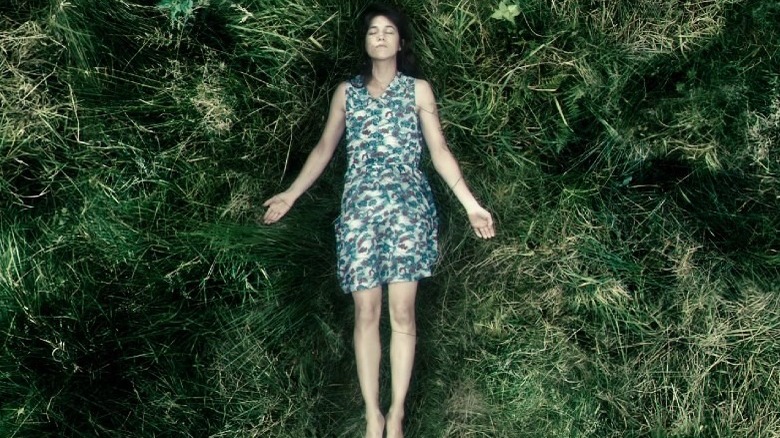 Charlotte Gainsbourg Antichrist field