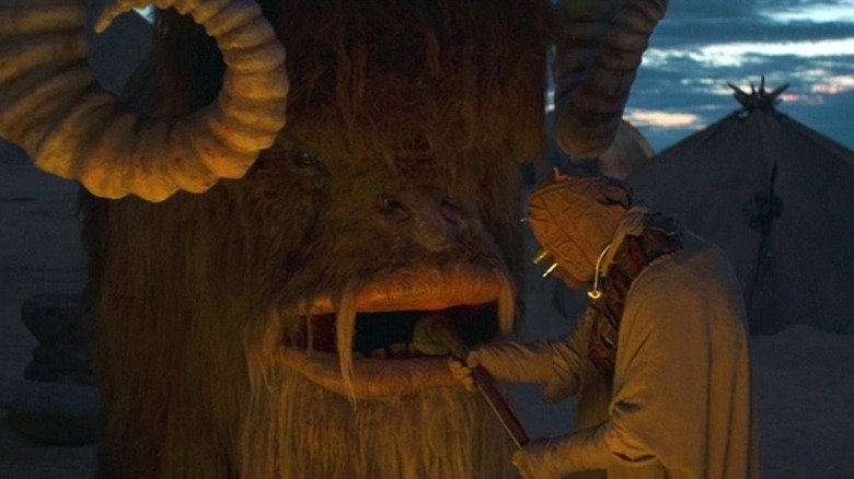 A Tusken raider grooms their bantha