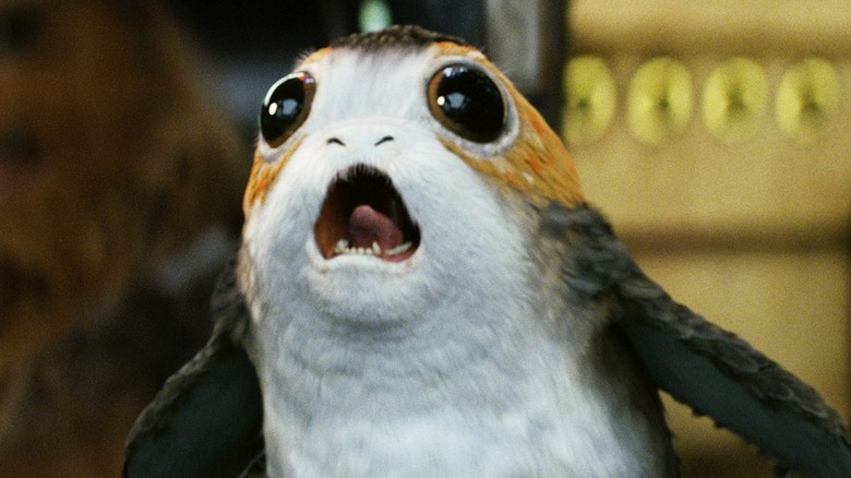 Porg screams at the camera