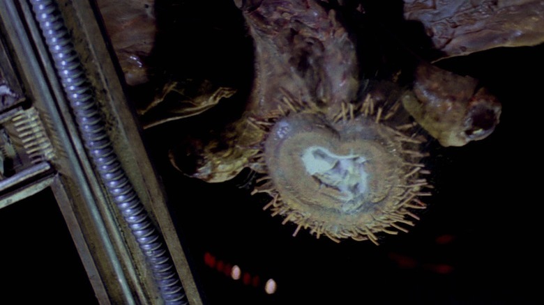 A mynock munches on the Millennium Falcon.