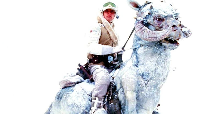 Luke rides a tauntaun across Hoth