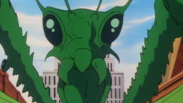 Murray the Mantis approaches!