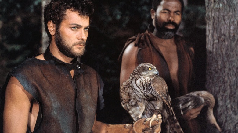 Vikings handle bird of prey
