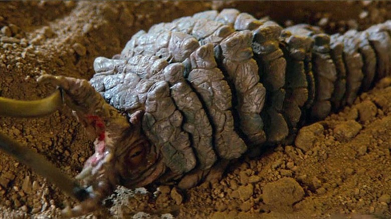 A Ceti eel wakes up
