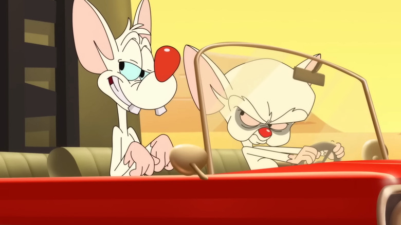 Pinky and the Brain driving a car in Animaniacs