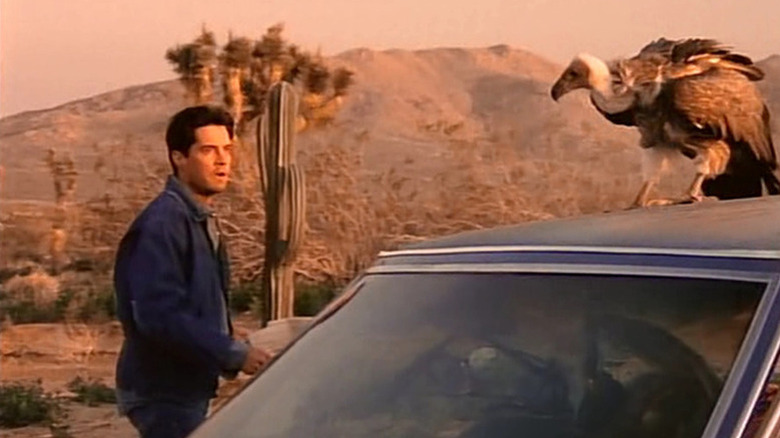 Earl Raymond Diggs stares at a vulture on his car in Tales from the Crypt
