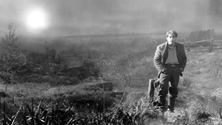 The man in field