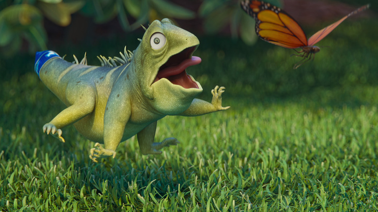 Leo chasing a butterfly in Leo