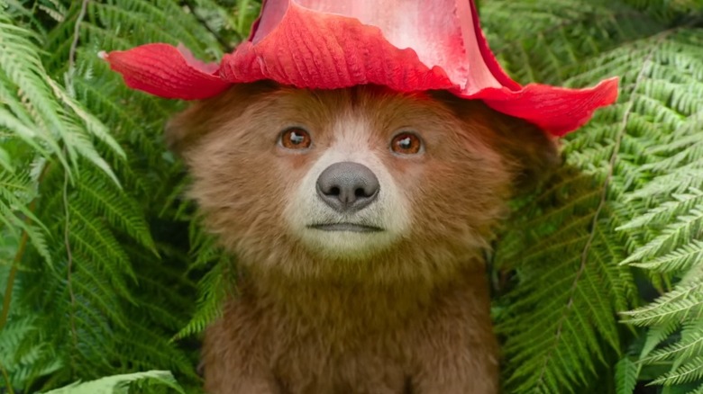 Paddington poking his head out of the bushes in Paddington in Peru