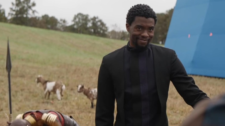 Chadwick Boseman smiling as Danai Guirera laughs in a field in Infinity War