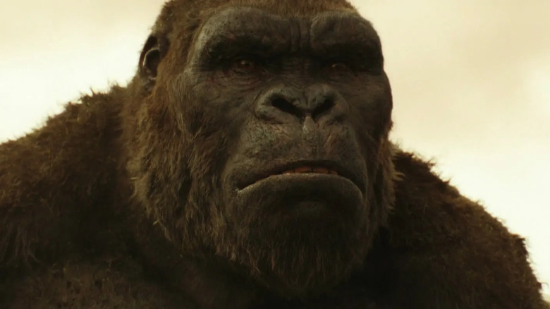 Kong: Skull Island's super-sized ape prepares to smash some helicopters