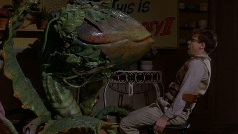 Rick Moranis' Seymour talks to carnivorous plant Audrey II in Little Shop of Horrors