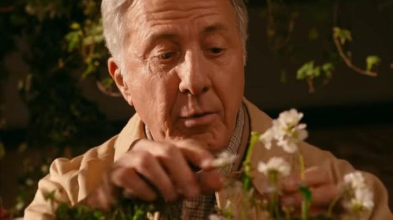 Henry Hoppy (Dustin Hoffman) prunes a flower in Esio Trot