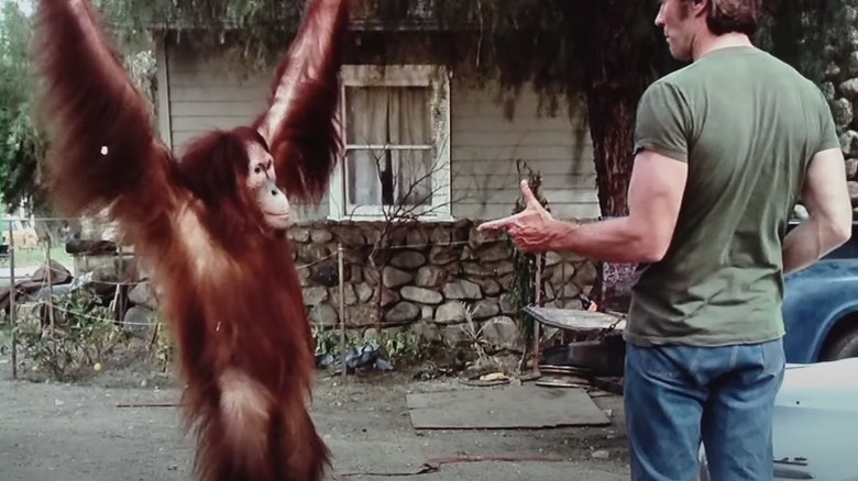 Clyde and Eastwood in "Every Which Way But Loose"