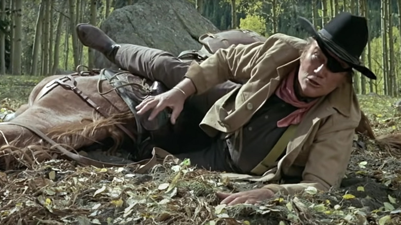Rooster Cogburn on the ground